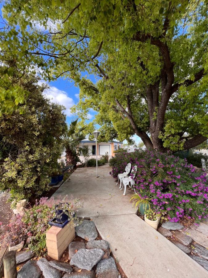 Sturt Motel Balranald Esterno foto