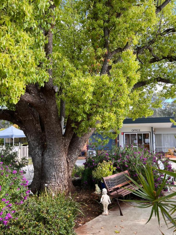 Sturt Motel Balranald Esterno foto